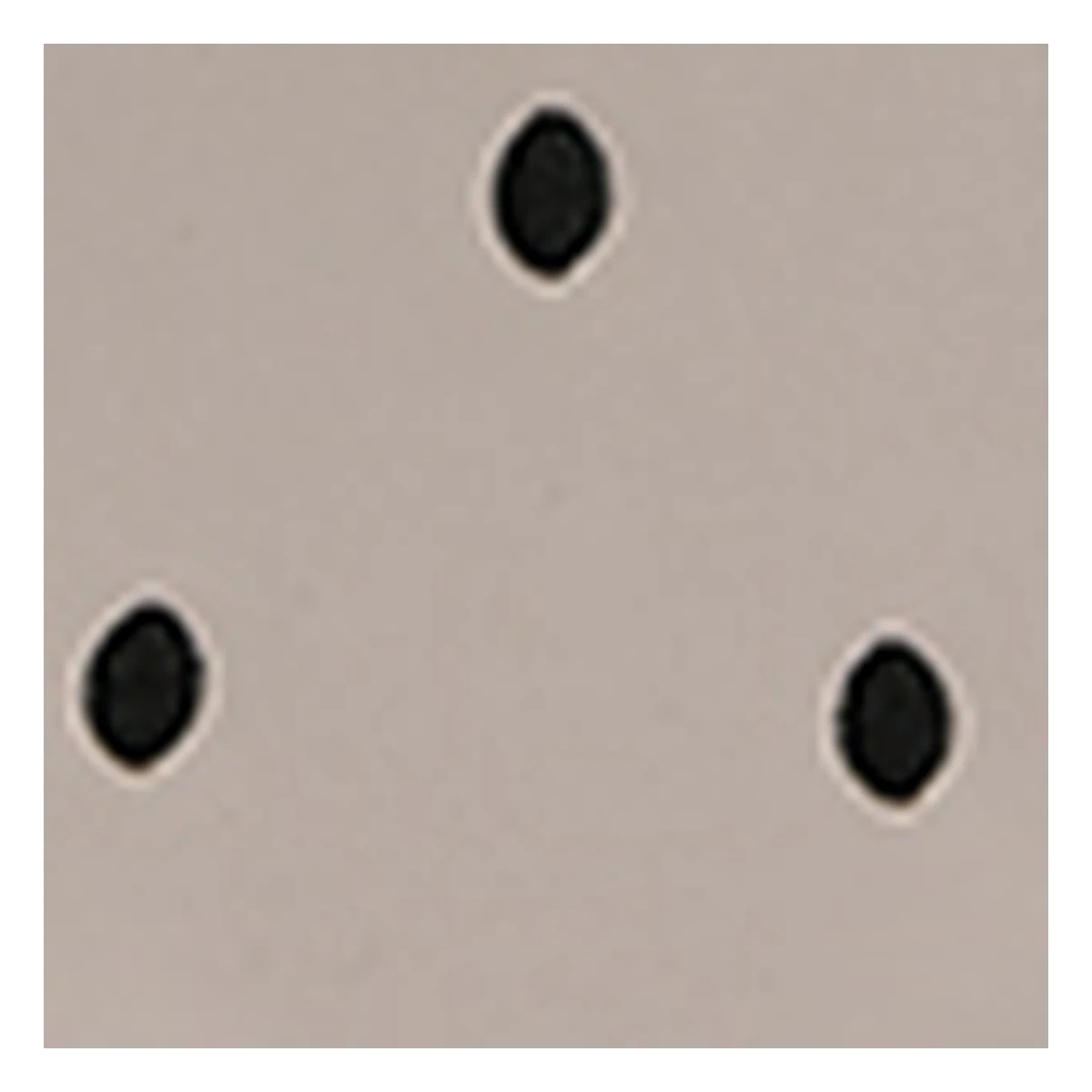 ZUNKANG Direct Minimalist PU Tote Bag #3011 - Product Detail 2